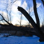 Lincoln Marsh 2016: February 13, Dark Blue Dusk