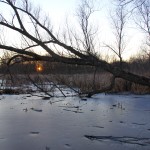 Lincoln Marsh 2016: February 7, Still Frozen, Red Ribbon Sunset