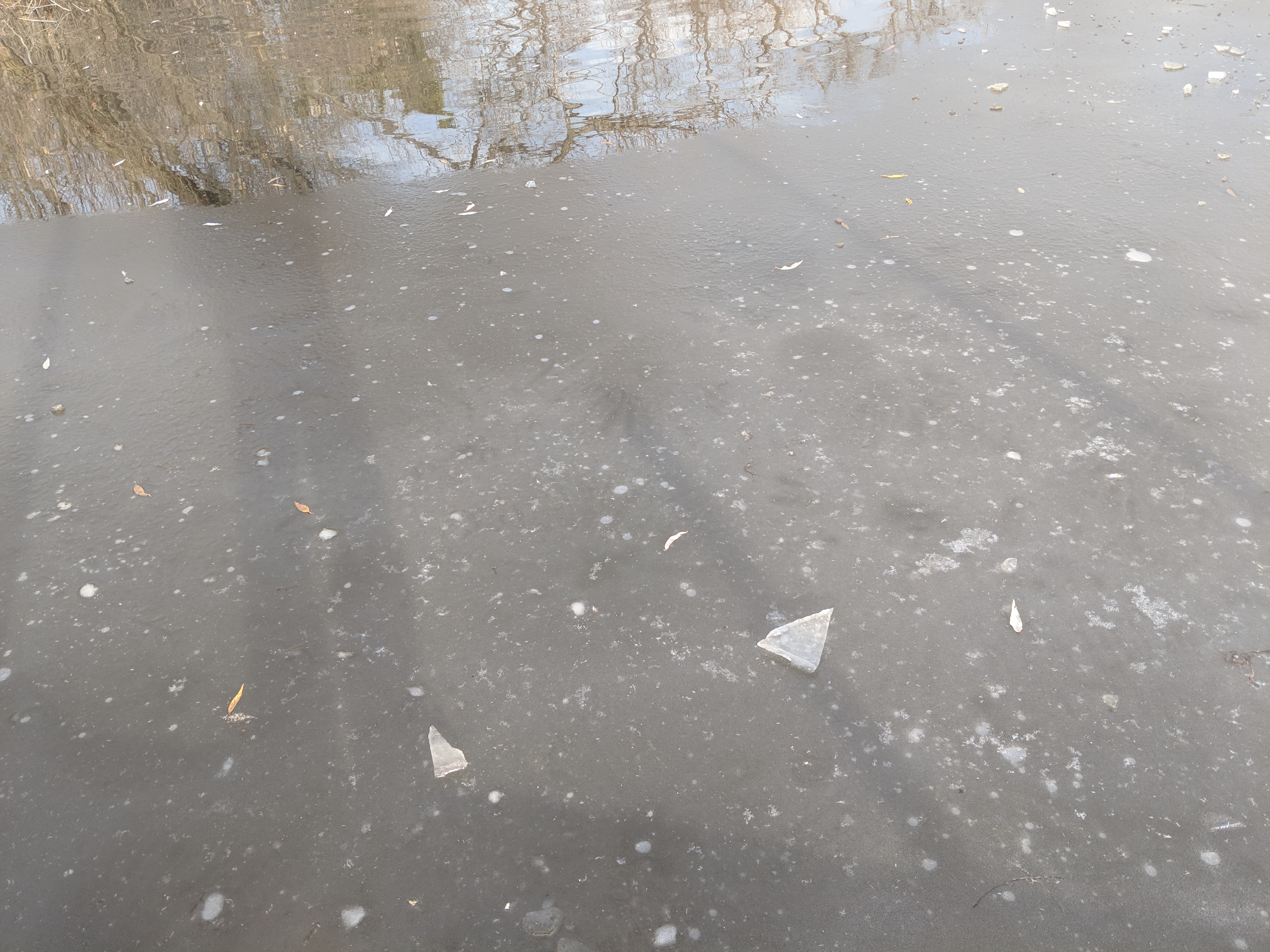 Approaching Lincoln Marsh Near Winter