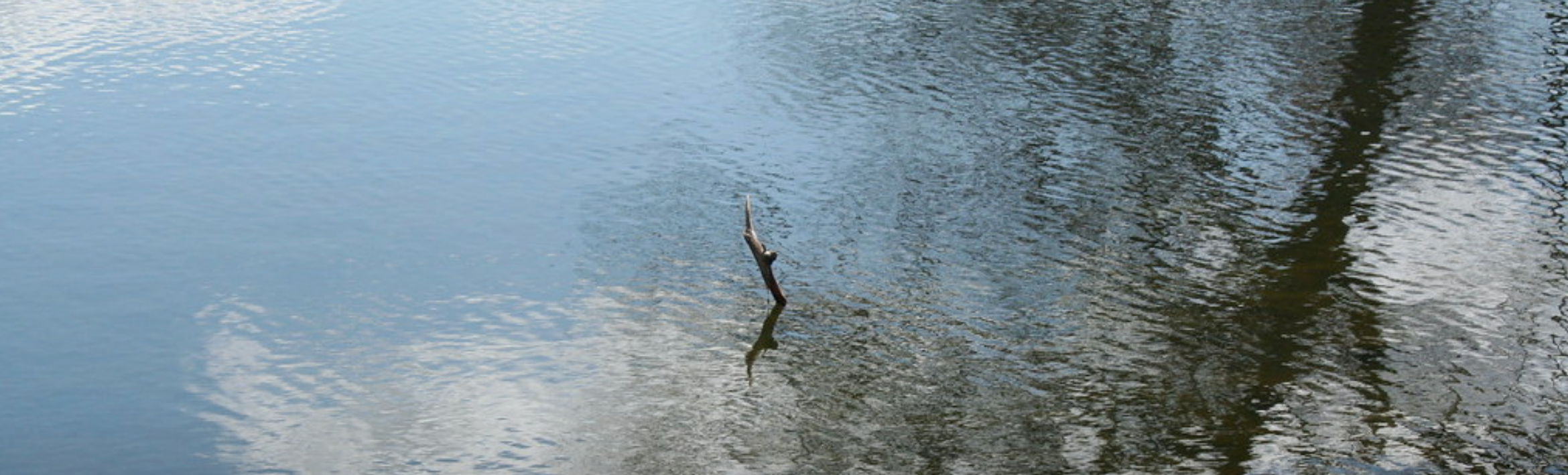 Herrick Lake Through Time