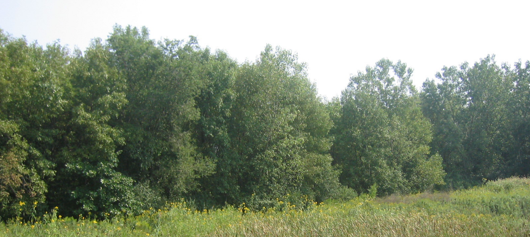 North Park Nature Center Panoramas Through Time