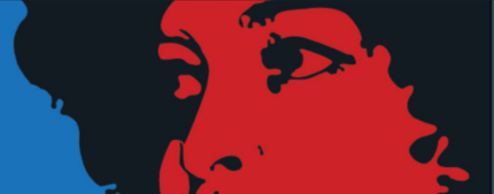 snip of Angela Davis poster