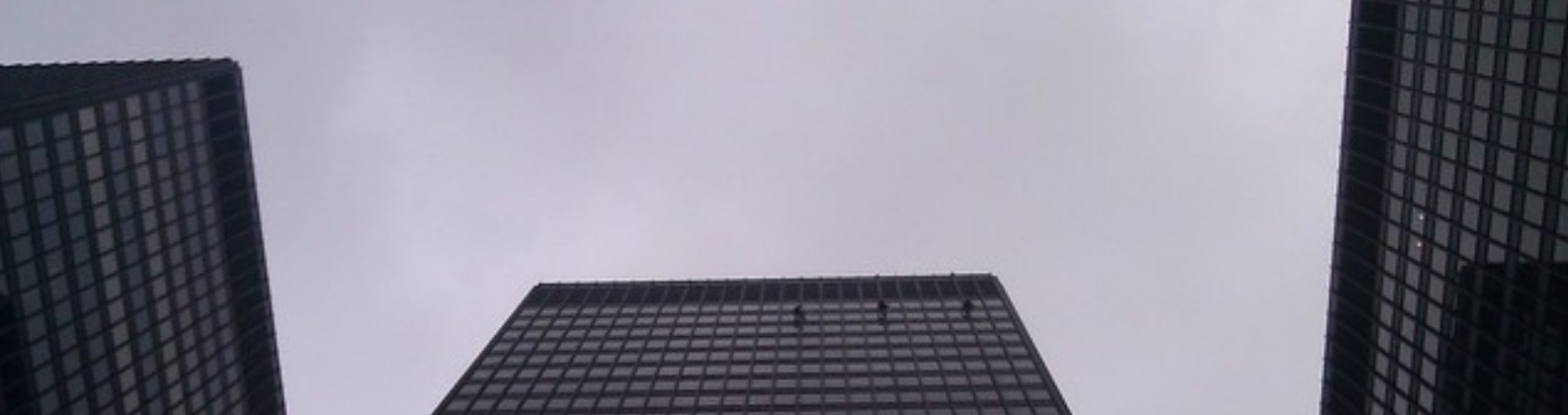 Mies van der Rohe building