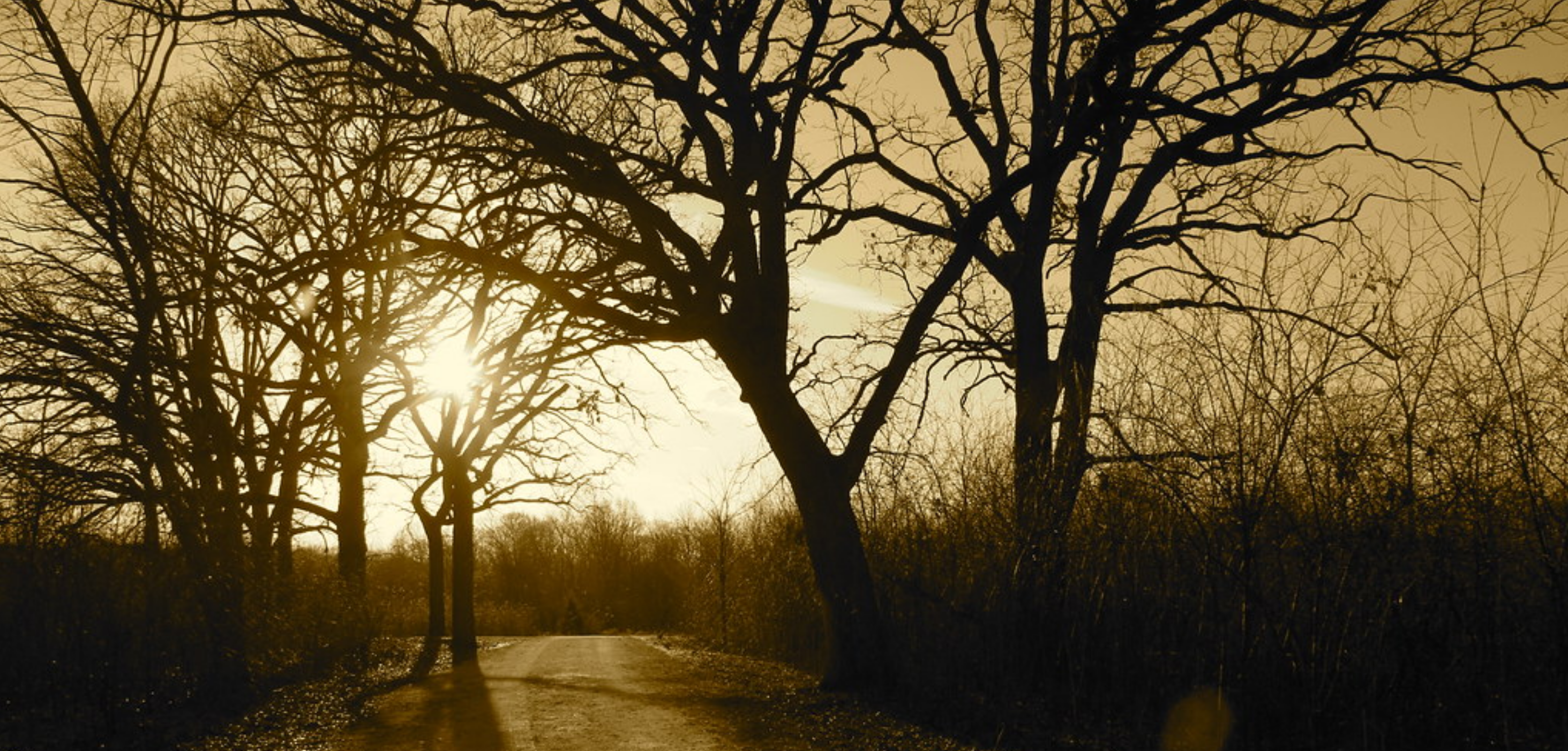 Winfield Mounds Through Time